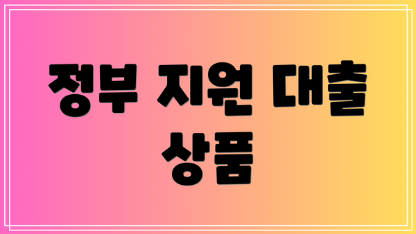 정부 지원 대출 상품