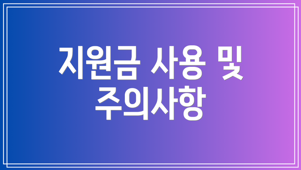 지원금 사용 및 주의사항
