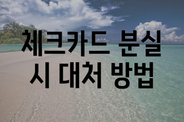 체크카드 분실 시 대처 방법