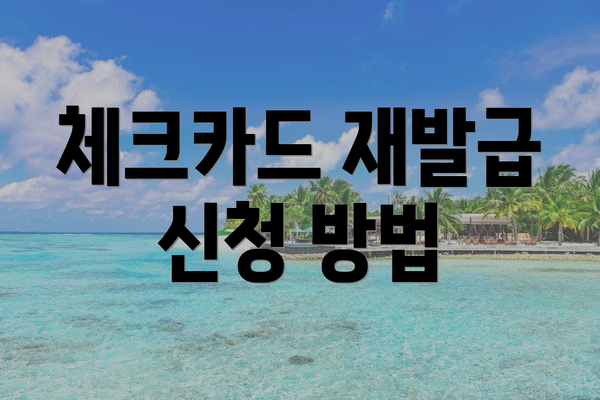 체크카드 재발급 신청 방법