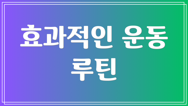 효과적인 운동 루틴