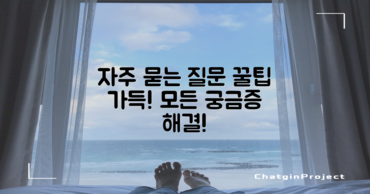 자주 묻는 질문