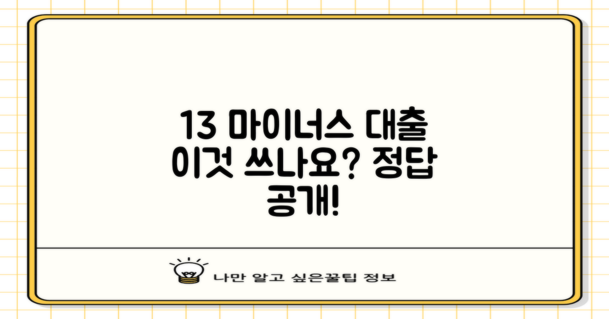 13 마이너스 대출, 무엇에 쓰나요?