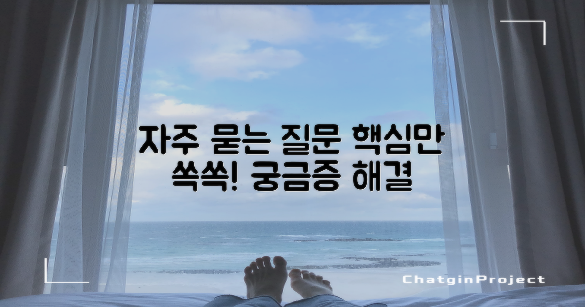 자주 묻는 질문