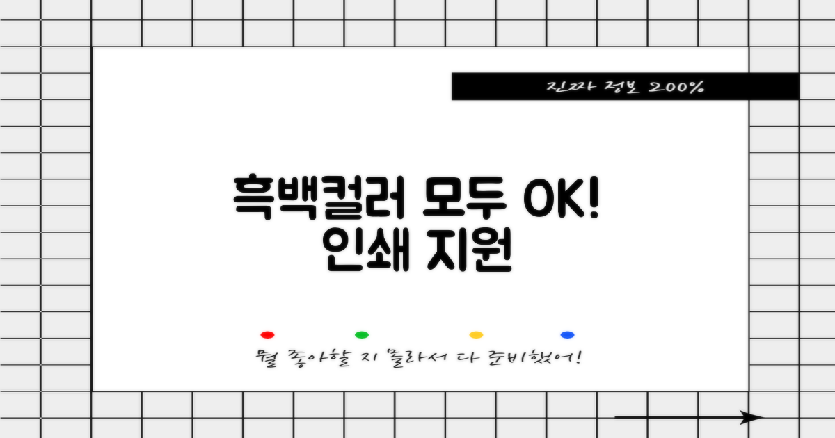 흑백/컬러 프린트 지원