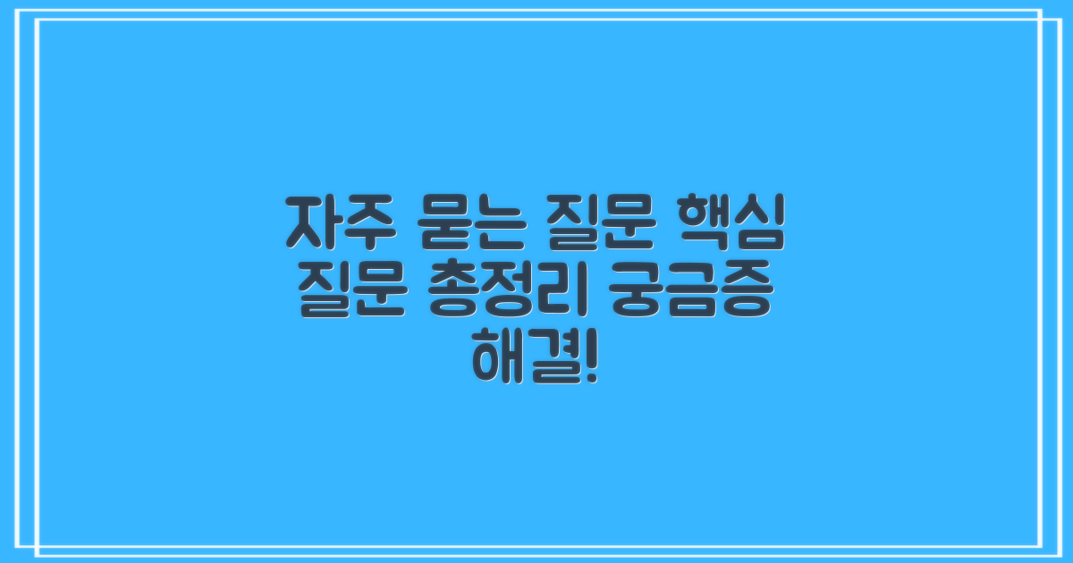 자주 묻는 질문