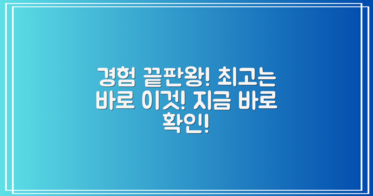최고의 경험은?