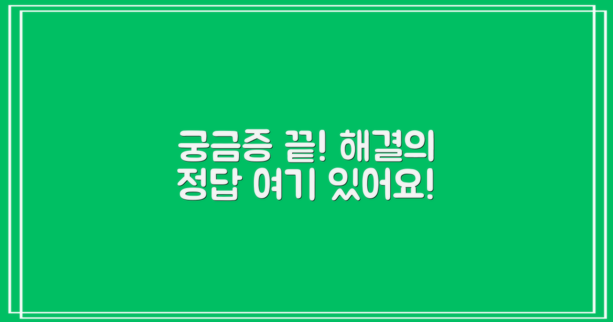 자주 묻는 질문