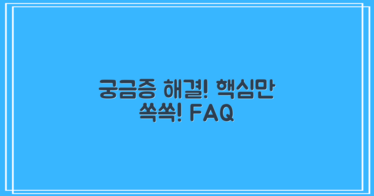 자주 묻는 질문