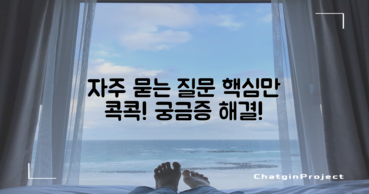 자주 묻는 질문