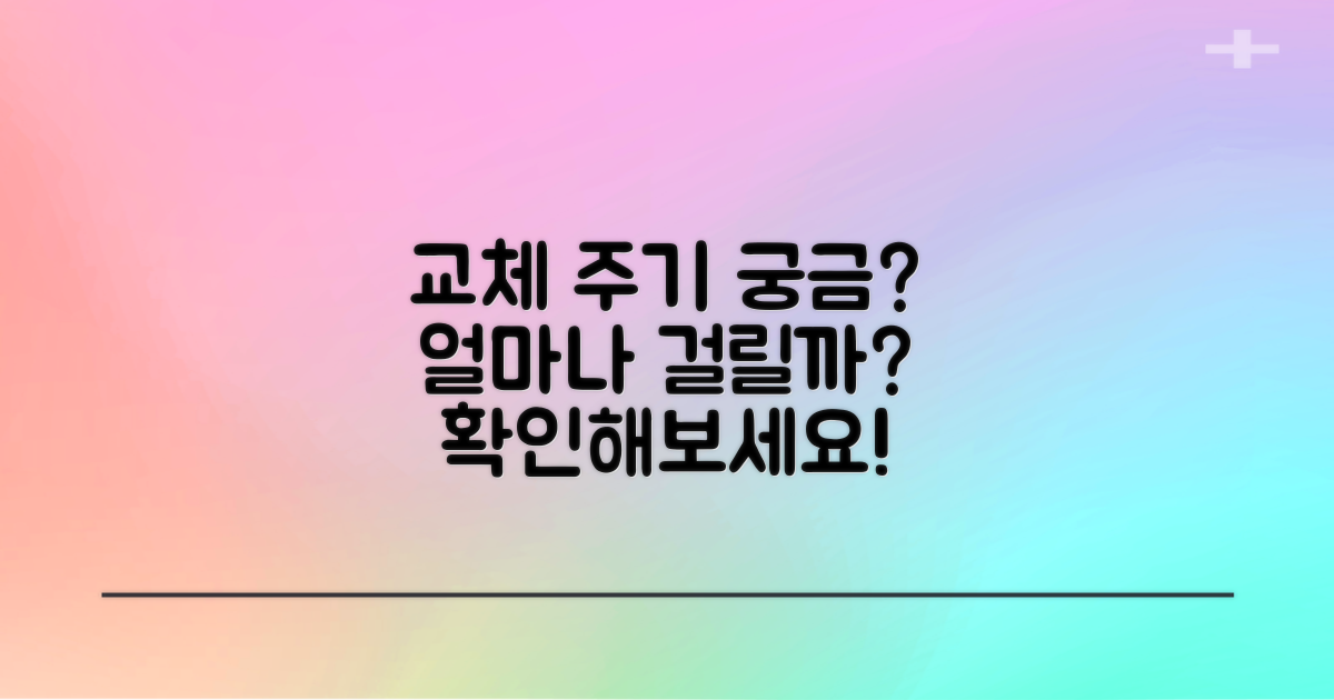 교체 주기는 얼마나 될까?
