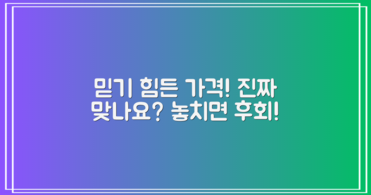 놀라운 가격, 진짜일까?